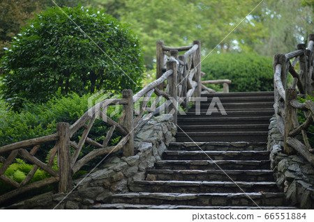 A view of an alley in the park in summer 66551884