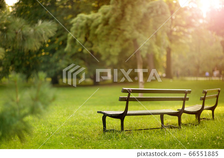 Wooden benches in beautiful park, in summer Wooden benches in beautiful park, in summer 66551885