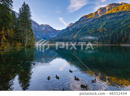 Autumn early morning alpine Jaegersee lake with Autumn early morning alpine Jaegersee lake with 66552434