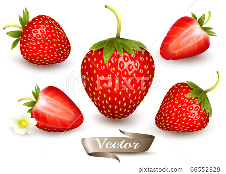Whole and slice of strawberry. Realistic 66552829