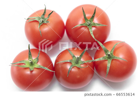[Summer image] Tomato 66553614