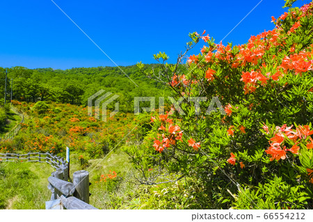 Mt. Miharu and Shirakaba Ranch 66554212