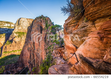 Angels landing hiking trail in Zion National Park, Utah, USA 66554219