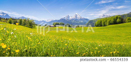 Idyllic landscape in the Alps with blooming meadows in springtime Idyllic landscape in the Alps with blooming meadows in springtime 66554339