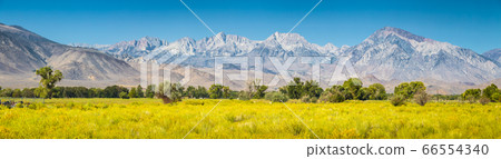 Eastern Sierra Nevada mountains in summer, Bishop, California, USA 66554340