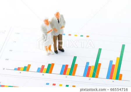 Data analysis and senior couple 66554716
