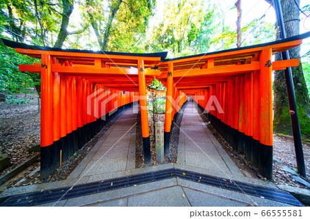 京都伏見稻荷大社 66555581