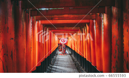 Japanese umbrella and kimono woman 66555593