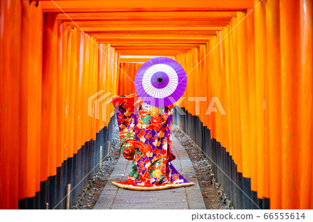 Japanese umbrella and kimono woman 66555614