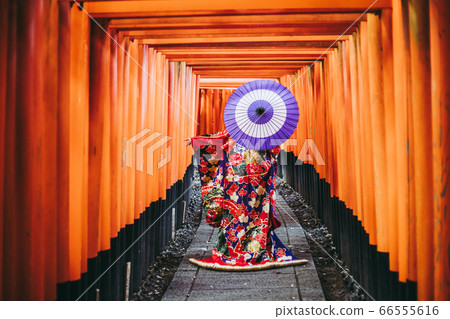 Japanese umbrella and kimono woman 66555616