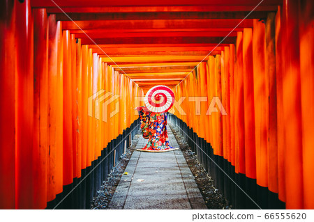 Japanese umbrella and kimono woman 66555620