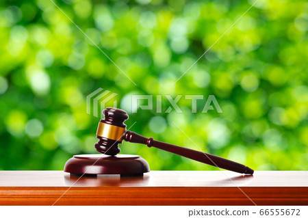 加貝爾和綠色背景 66555672