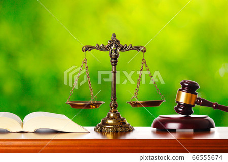 試用和綠色背景 66555674