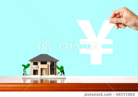 House model and money 66555868