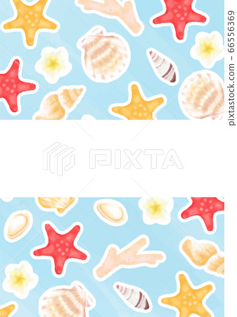 Summer sea shell frame illustration 66556369