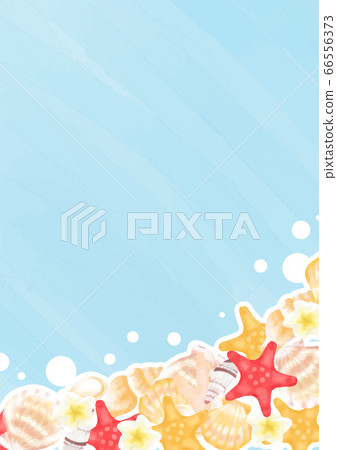 夏天海貝殼框架圖 夏天海貝殼框架圖 66556373