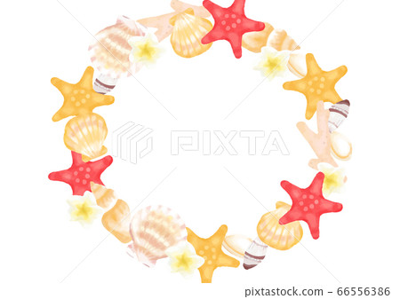 Summer sea shell frame illustration - Stock Illustration [66556386] - PIXTA