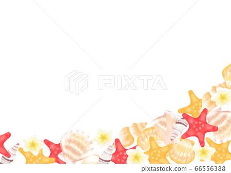 Summer sea shell frame illustration - Stock Illustration [66556388] - PIXTA