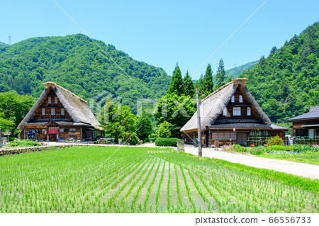 初夏的gan沼合掌祖里村 初夏的gan沼合掌祖里村 66556733