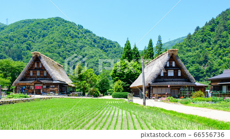 初夏的gan沼合掌祖里村 初夏的gan沼合掌祖里村 66556736