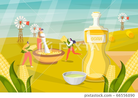 Herbal cosmetic vector illustration. People collect product in container. Man processes plants to make lotions and masks for skin Herbal cosmetic vector illustration. People collect product in container. Man processes plants to make lotions and masks for skin 66556890