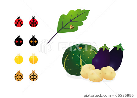 Caterpillar and vegetables 66556996