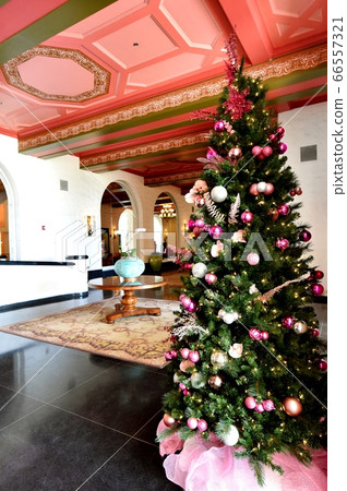 夏威夷的假期 66557321