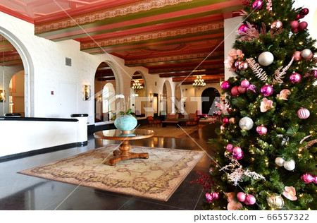 夏威夷的假期 夏威夷的假期 66557322