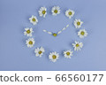 Flower clock created from white daisy flowers on  blue background. Flat lay of daisy flowers. 66560177