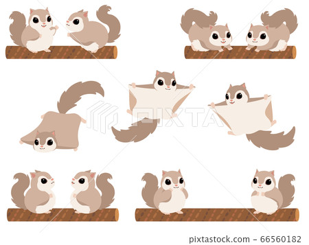 Momonga illustration set Momonga illustration set 66560182