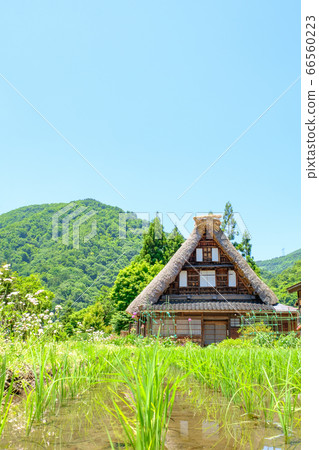 初夏的gan沼合掌祖里村 初夏的gan沼合掌祖里村 66560223