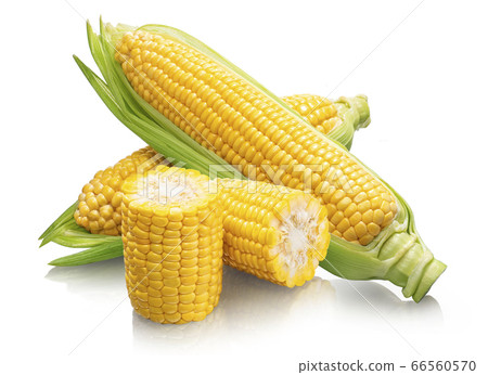 玉米 66560570