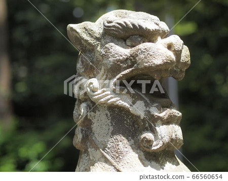 Komainu at Yahiko Shrine, Yahiko Village, Niigata Prefecture Komainu at Yahiko Shrine, Yahiko Village, Niigata Prefecture 66560654