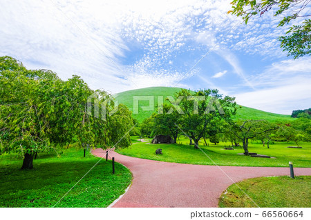 靜岡縣伊豆半島大室山[6月] 66560664