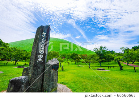 Mt. Omuro, Izu Peninsula, Shizuoka Prefecture [June] 66560665