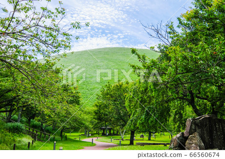 Mt. Omuro, Izu Peninsula, Shizuoka Prefecture [June] 66560674