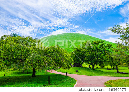靜岡縣伊豆半島大室山[6月] 66560675