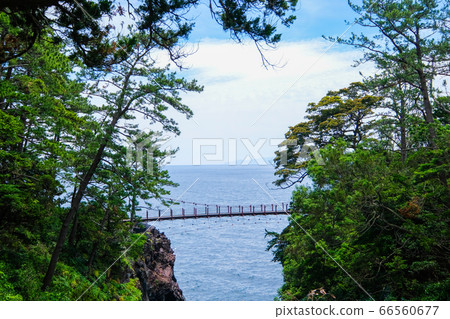 Kadowaki Suspension Bridge on the Jogasaki Coast in Ito City, Shizuoka Prefecture [June] 66560677