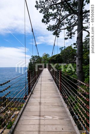 靜岡縣伊東市城崎海岸上的茅道吊橋[6月] 66560683