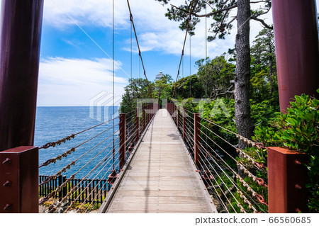 靜岡縣伊東市城崎海岸上的茅道吊橋[6月] 66560685