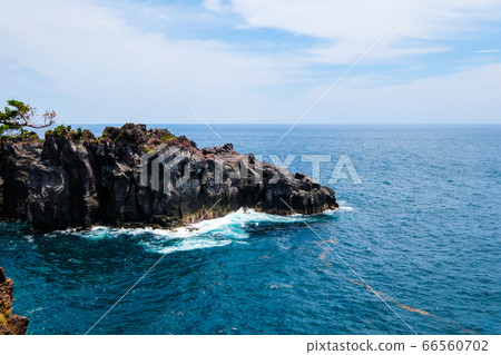 靜岡縣伊藤市城崎海岸[6月] 66560702