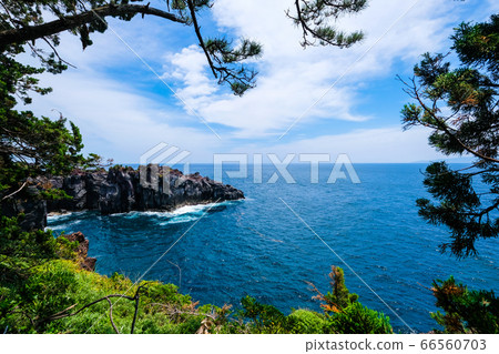 Shigaoka Ito City Jogasaki Coast [June] 66560703