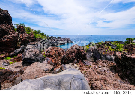 靜岡縣伊藤市城崎海岸[6月] 66560712