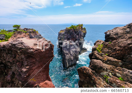 靜岡縣伊藤市城崎海岸[6月] 66560713