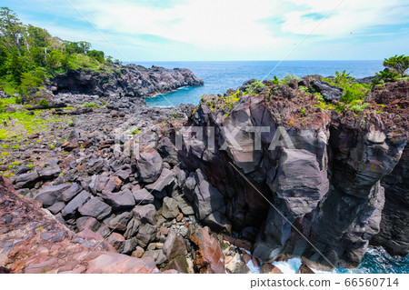 靜岡縣伊藤市城崎海岸[6月] 66560714