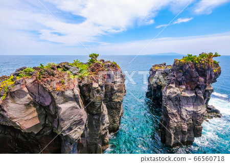 靜岡縣伊藤市城崎海岸[6月] 66560718