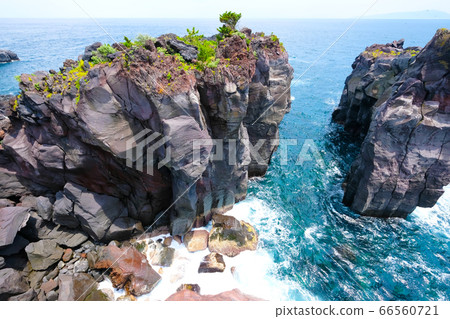 靜岡縣伊藤市城崎海岸[6月] 66560721