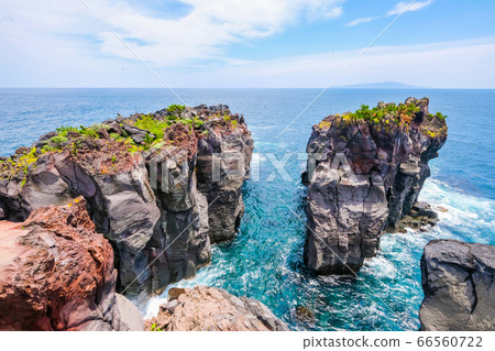 Shigaoka Ito City Jogasaki Coast [June] 66560722