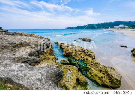 Shirahama Sea in Shimoda City, Shizuoka Prefecture [June] 66560746