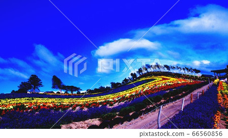 Bright flower garden Bright flower garden 66560856